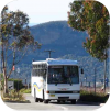 Blue Mountains Bus Company